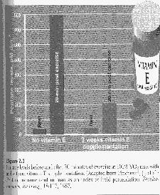 Βιταμίνη Ε και άσκηση Βιταμίνη Ε και άσκηση Βιταμίνη Ε