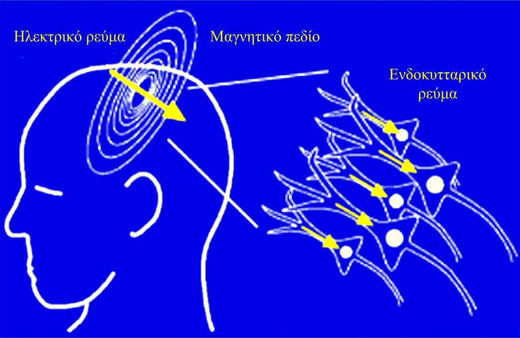 σήμα 5.