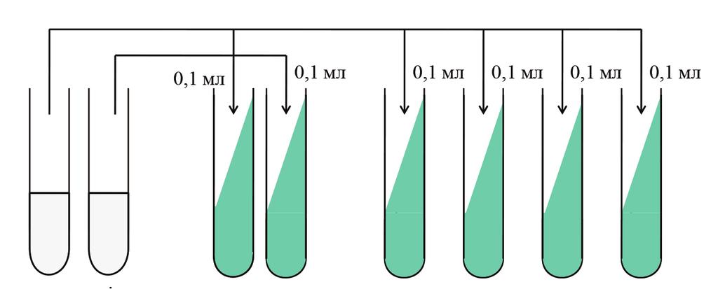6.2.2. Разблажења бактеријске суспензије Од припремљене суспензије (1 мг/мл) са дестилованом водом прави се инокулум за засејавање: 10-2 (0,01 мг/мл) и 10-4 (0,0001 мг/мл). Табела 6.5.