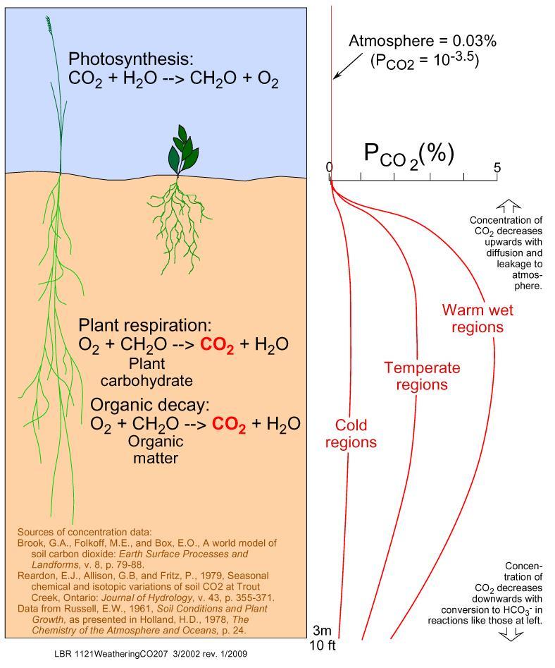 Το CO 2 ως