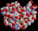 konformacijske spremembe -polipeptidna veriga se zvije (skrči), da zakrije hidrofobne ostanke v sredi molekule, stran od vode (