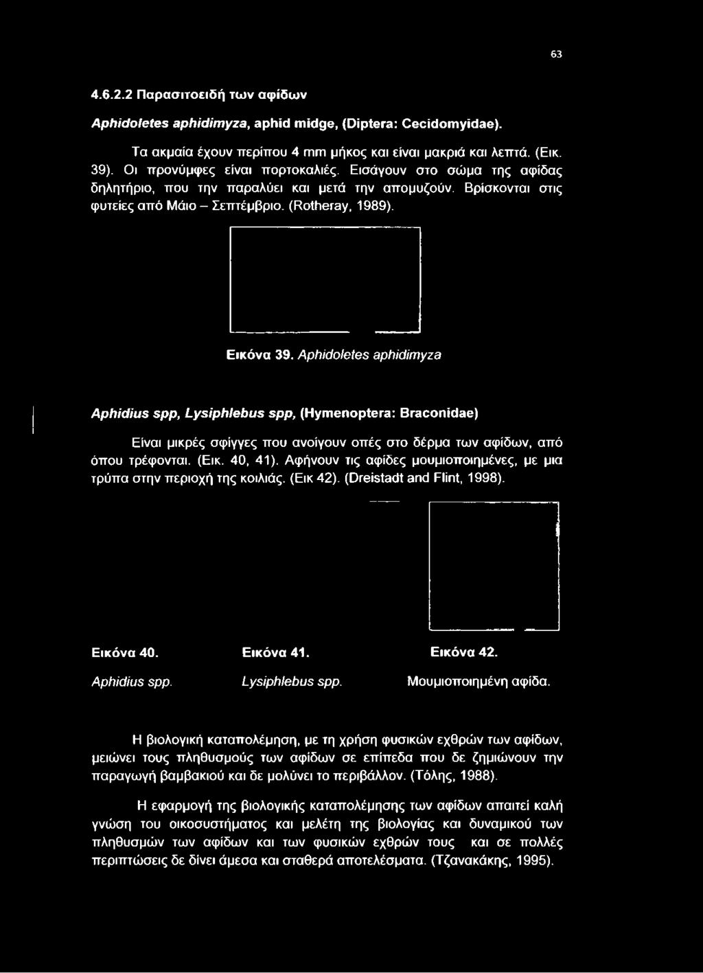 Εισάγουν στο σώμα της αψίδας δηλητήριο, που την παραλύει και μετά την απομυζούν. Βρίσκονται στις φυτείες από Μάιο - Σεπτέμβριο. (Rotheray, 1989).