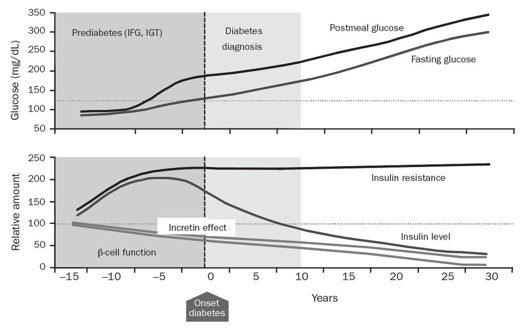 Natural history of type 2 diabetes mellitus J. S.