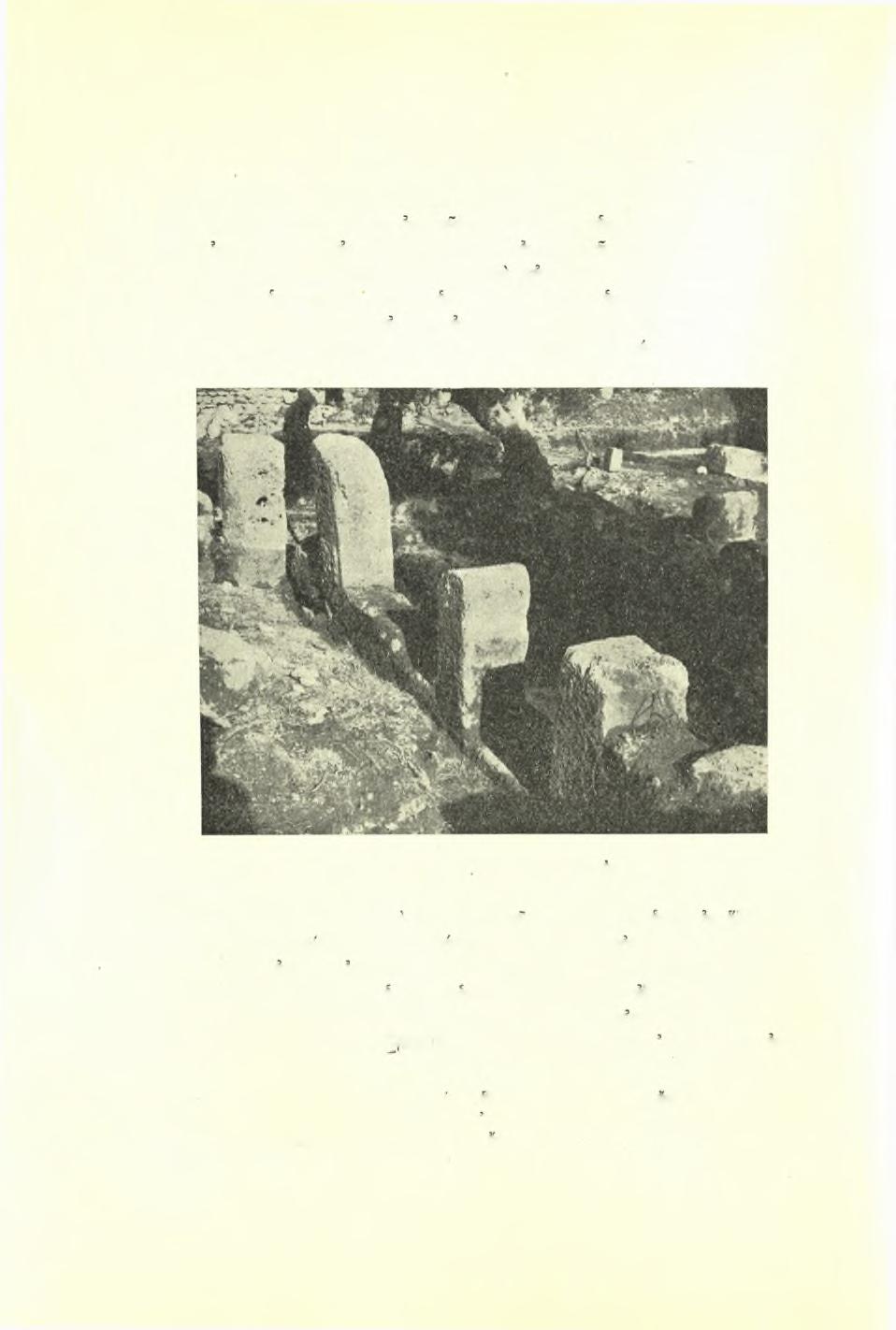 132 Πρακτικά τής Αρχαιολογικής Εταιρείας 1954 σιλικήν, δηλαδή περίπτωσιν σπανίαν διά τήν κυρίως Ελλάδα 1.