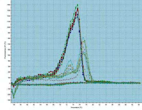 Εικόνα50. Dissociation curve: Διάγραμμα διάστασης σήματος φθορισμού.