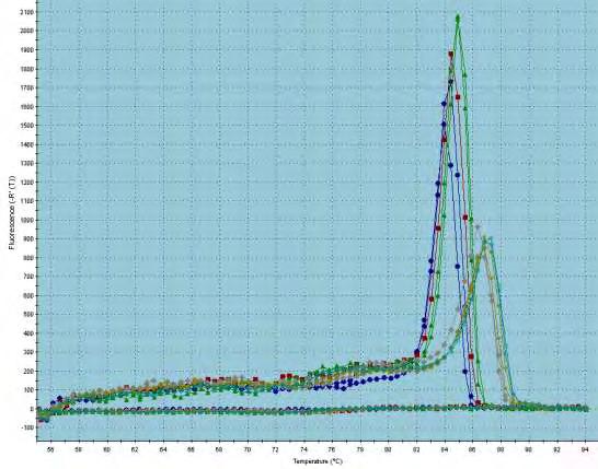 Εικόνα 34. Dissociation curve: Διάγραμμα διάστασης σήματος φθορισμού.