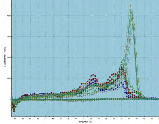 Εικόνα 38. Dissociation curve: Διάγραμμα διάστασης σήματος φθορισμού.