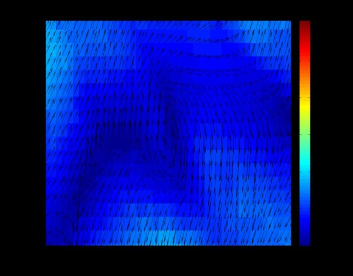 Model input: Wind Wind data Source: