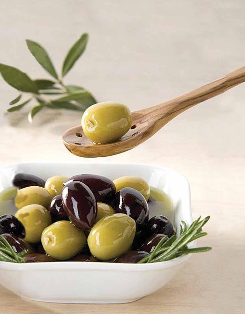 ➃❹➌➍❸ ➁❹➌❷ ➎❽➌❹❺9 ❸➊➆❹➂ גליון ˇ כסלו תשע ב דצמבר ±± קריית המועצה תÆדμ Æ נוה ירק