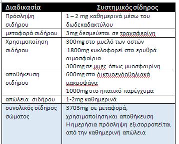 Χρησιμοποίηση του σιδήρου Όταν ο σίδηρος απορροφηθεί δεσμεύεται στην τρανσφερίνη ώστε να αξιοποιηθεί από τον οργανισμό.