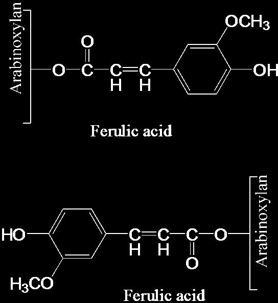 Πεντοζάνες (γ) O O OH OH CH 2 OH OH O O OH D-Xylopyranose O O OH O OH