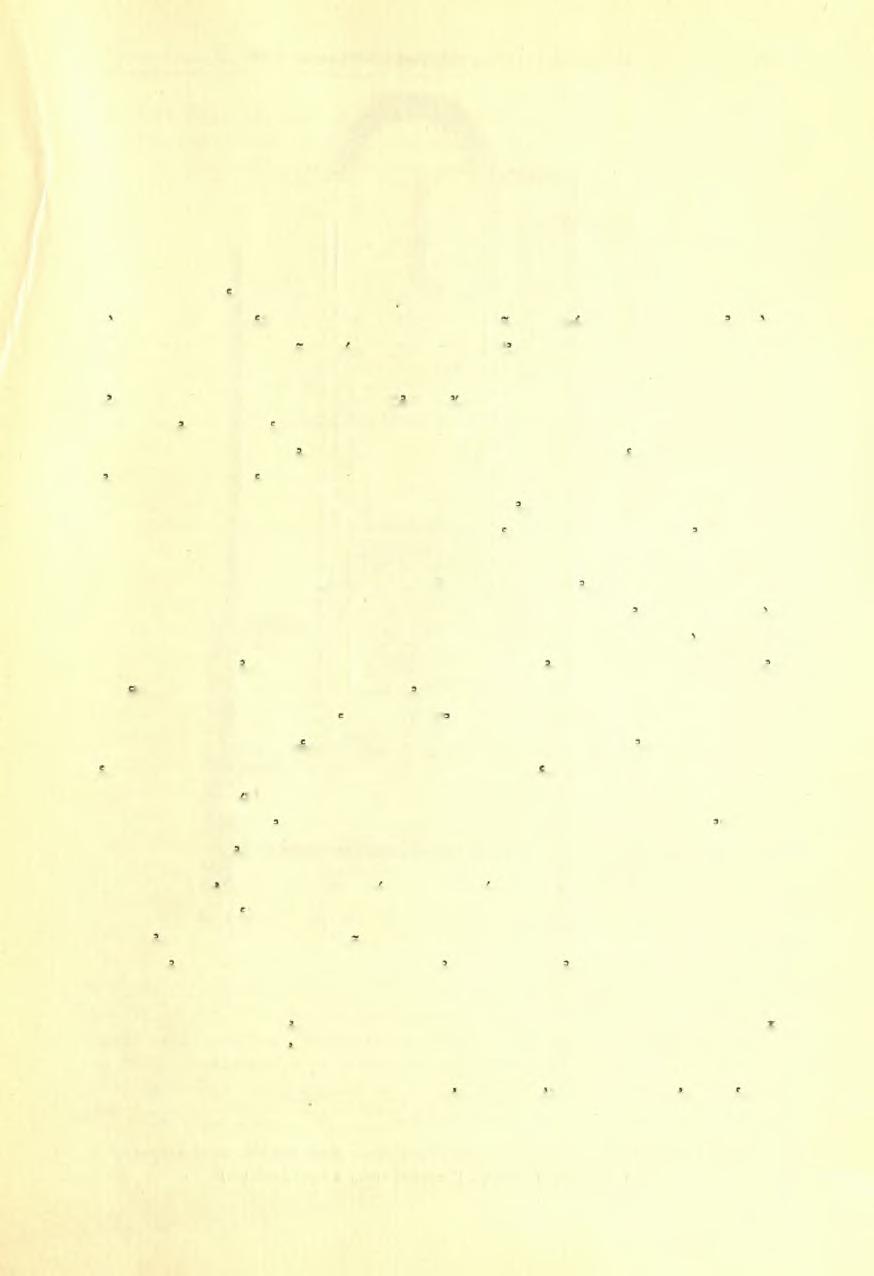 38. ΑΝΑΣΚΑφΗ ΧΕΡΣΟΝΗΣΟΥ ΚΡΗΤΗΣ (ΒΑΣΙΛΙΚΗ Α) Εϊκοσιν επτά χιλιόμετρα άνατολικώς τοϋ Ηρακλείου εΰρίσκεται, παρά την παραλιακήν οδόν, στενομήκης γλώσσα γης, εϊσδυουσα καθέτως εις την θάλασσαν τοϋ