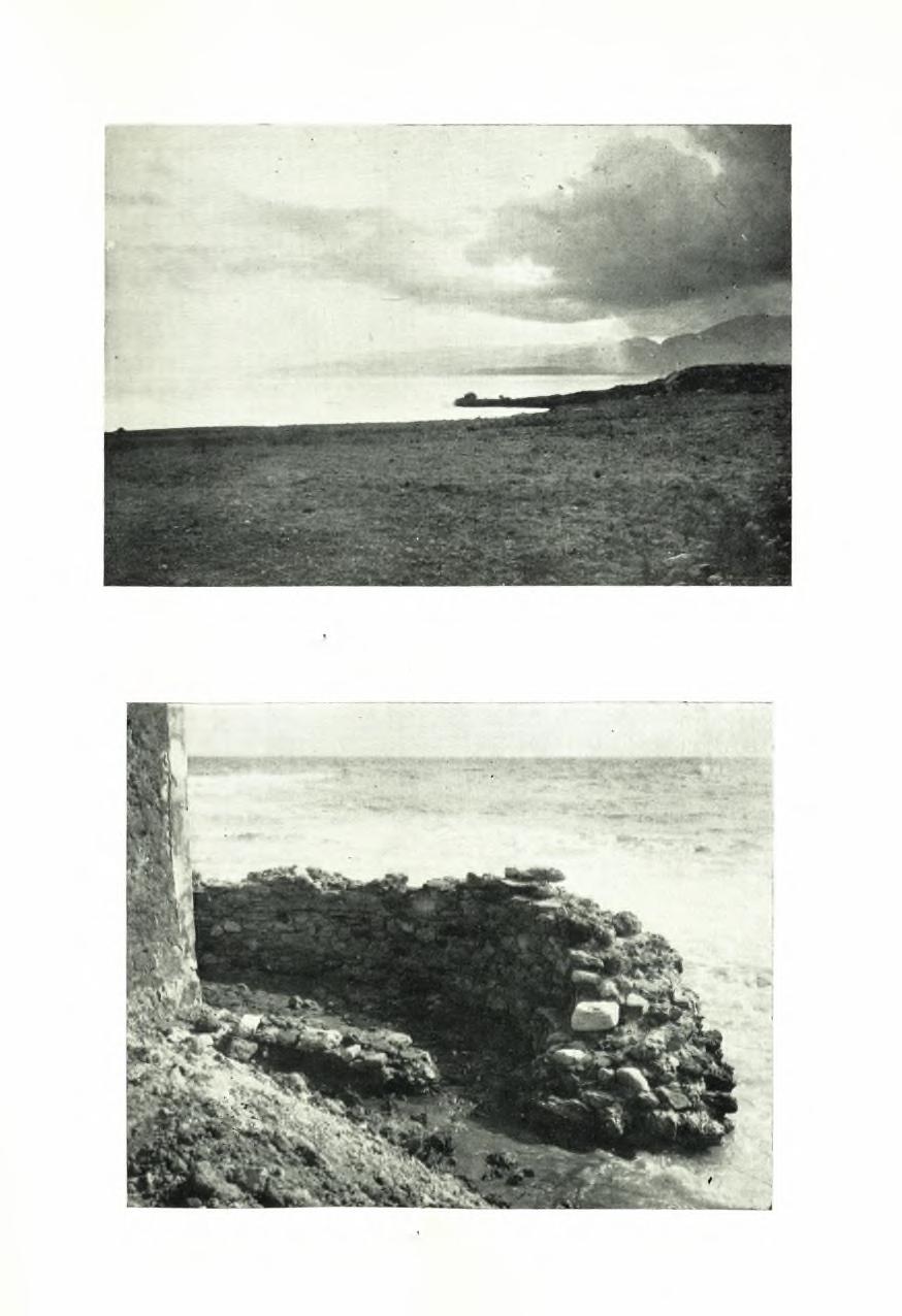 ΠΑΕ 1955.