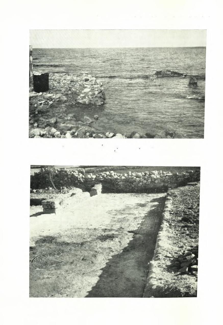 ΠίΝΑΞ 126 ίίαε 1955.