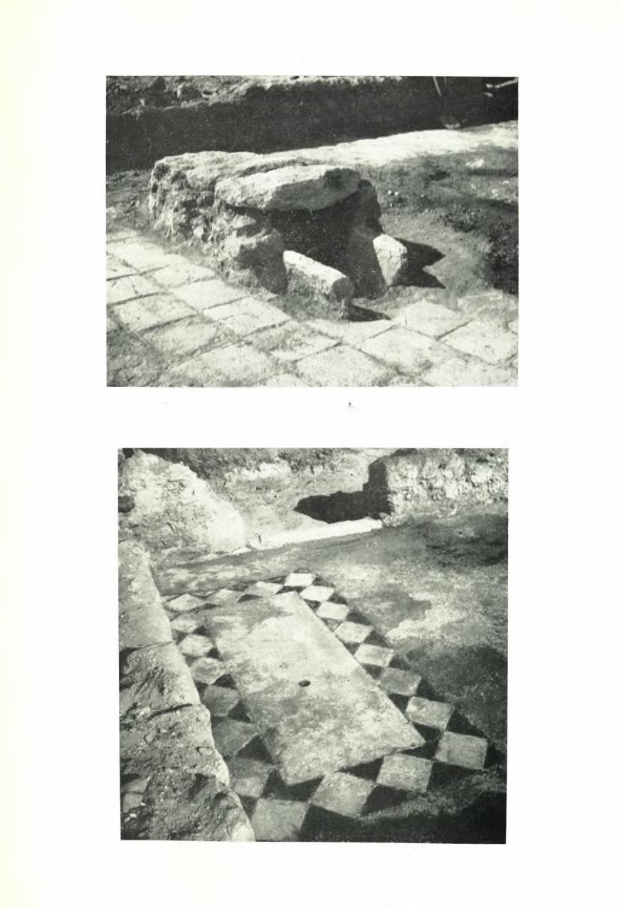 ΠΑΕ 1955.