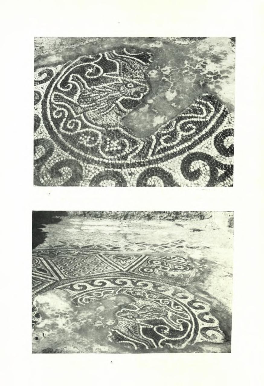ΠιΧαε 128 ΠΑΕ 1955 ΑΝΑΪΚΑΦΜ BASUlKHS A