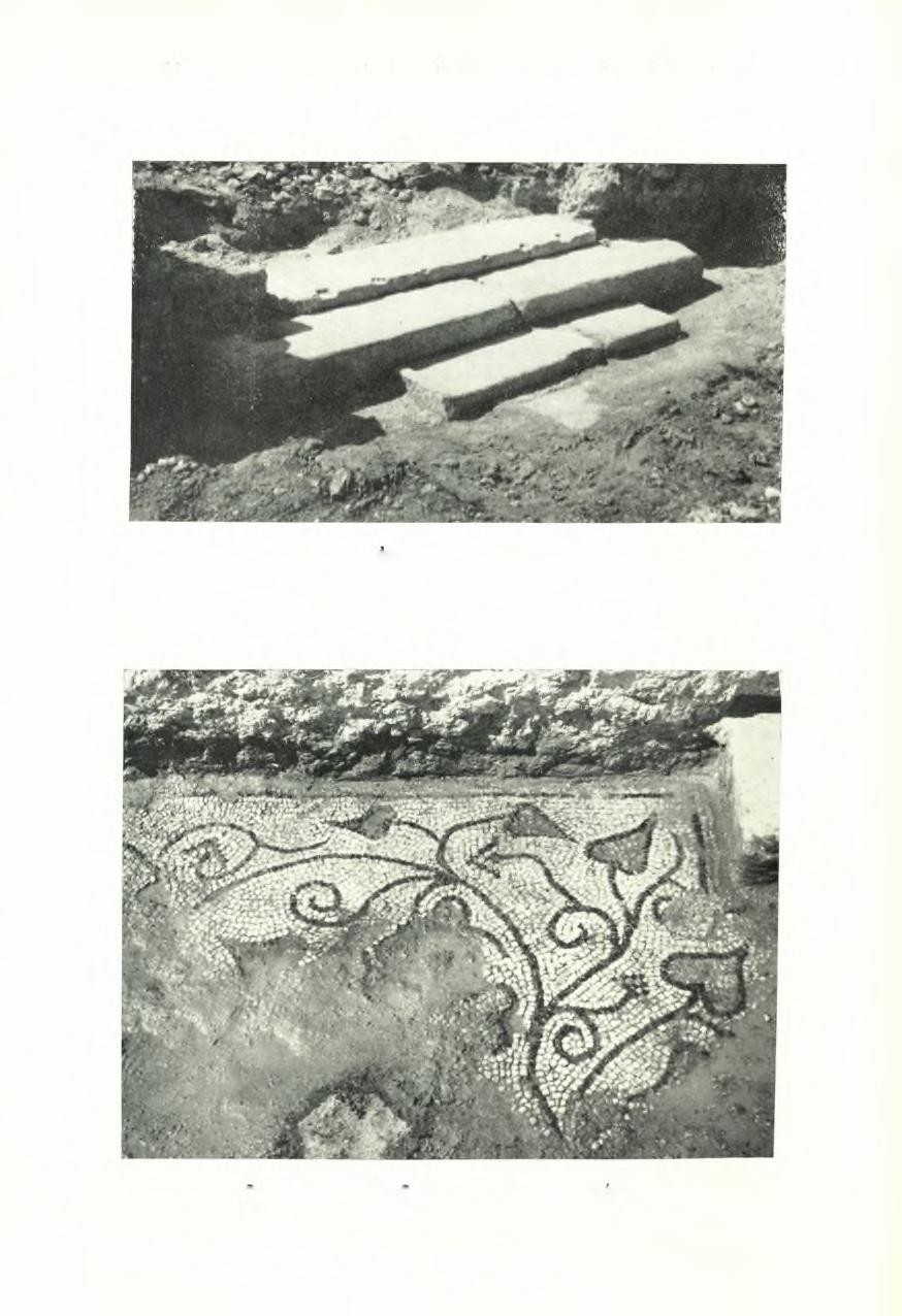 ΠιναΒ 130 ίιαε 1955.