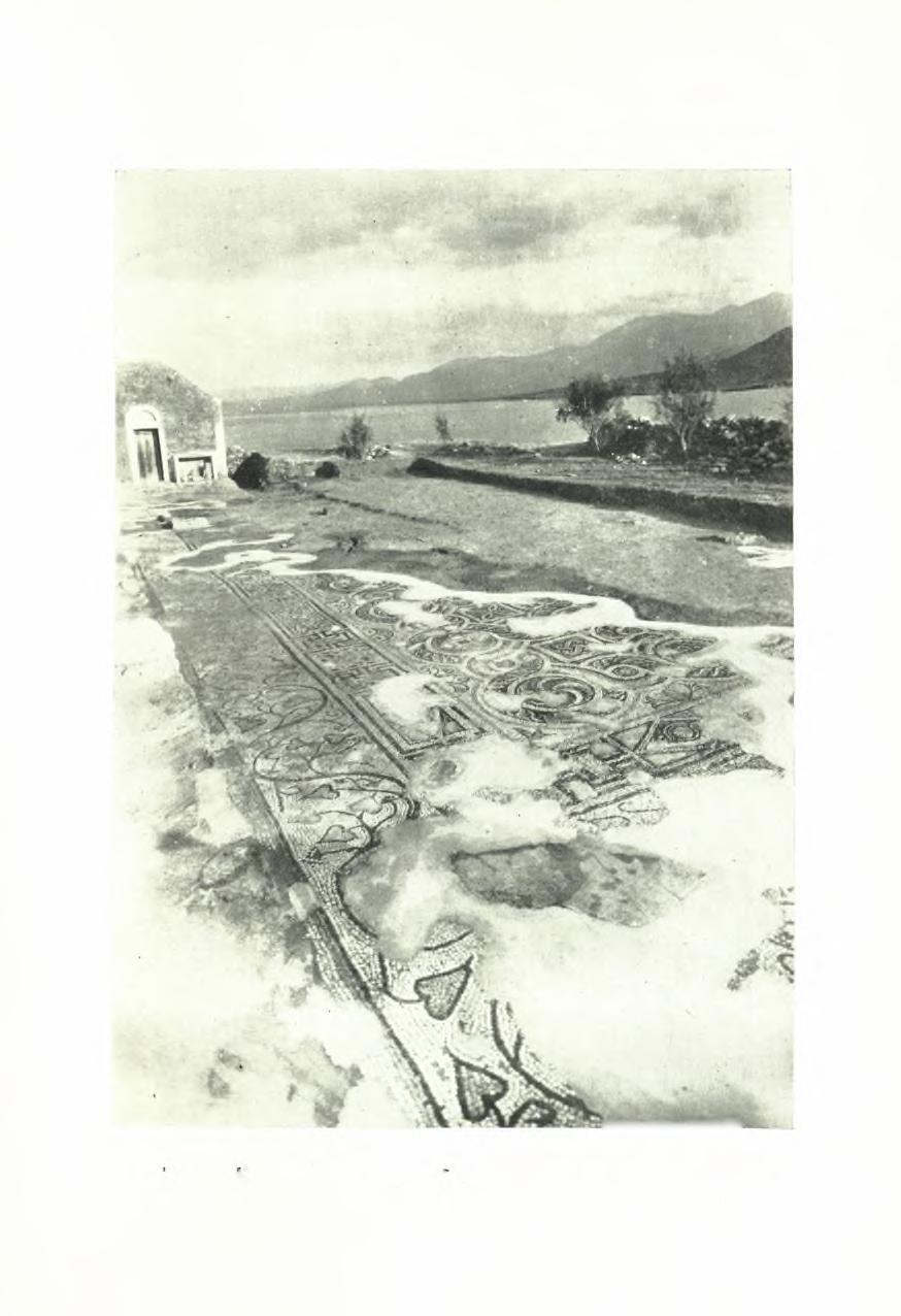 ΠΑΕ 1955.