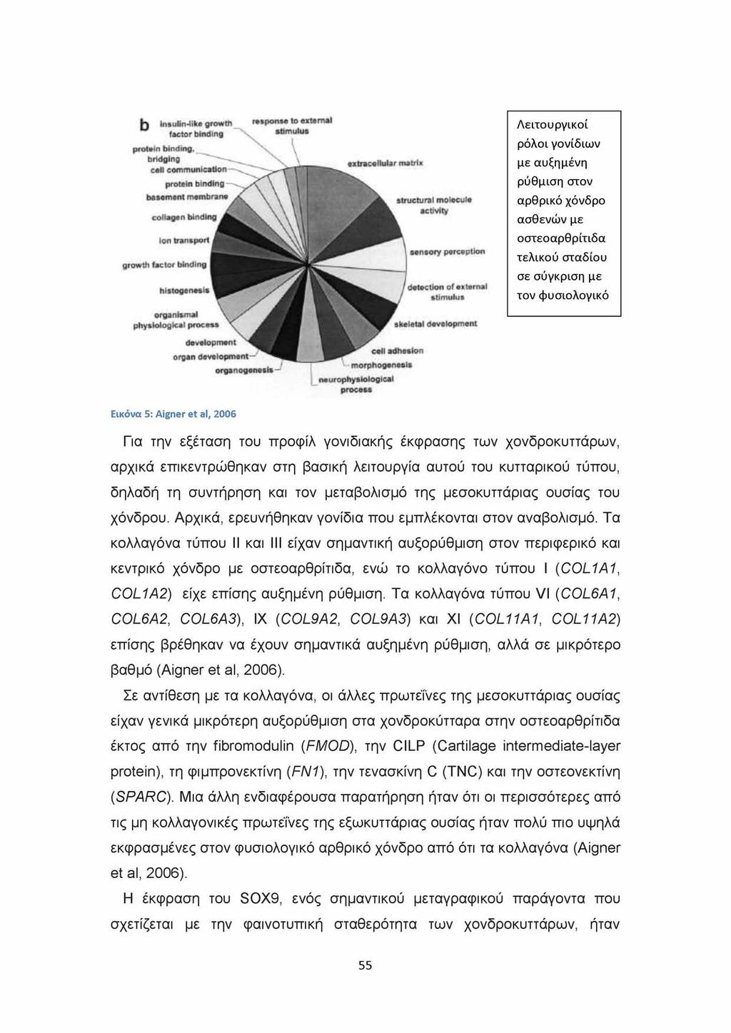 Insulin-like growth factor binding protean binding bnapmj cell communication protein binding > M M nt MMMM collagen binding response to external stimulus extracellular mat/l* structural molecule IM M