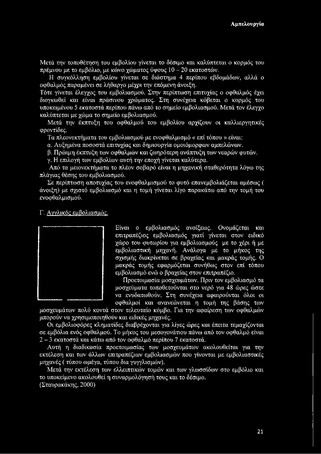 Στην περίπτωση επιτυχίας ο οφθαλμός έχει διογκωθεί και είναι πράσινου χρώματος. Στη συνέχεια κόβεται ο κορμός του υποκειμένου 5 εκατοστά περίπου πάνω από το σημείο εμβολιασμού.