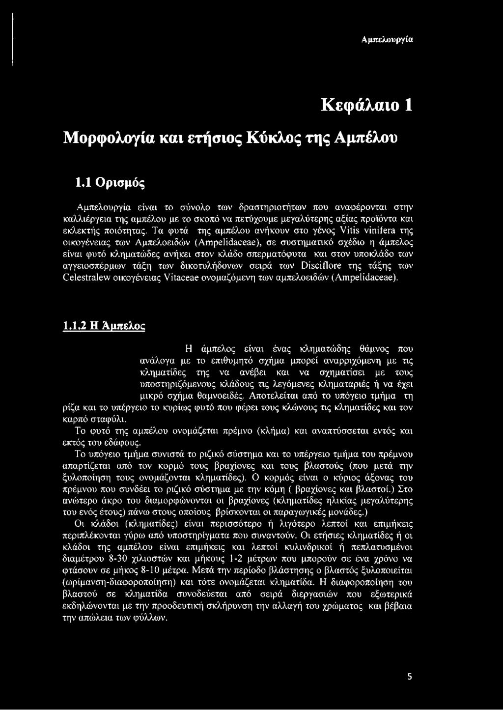 Τα φυτά της αμπέλου ανήκουν στο γένος νμβ νίηίίετα της οικογένειας των Αμπελοειδών (ΑΓηρεΙίόαοεαε), σε συστηματικό σχέδιο η άμπελος είναι φυτό κληματώδες ανήκει στον κλάδο σπερματόφυτα και στον