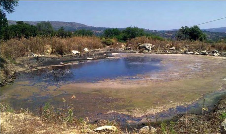 113 Προβλήματα ευτροφισμού λόγω υψηλού περιεχομένου σε P (φώσφορο) οδηγεί σε αύξηση άλγης.