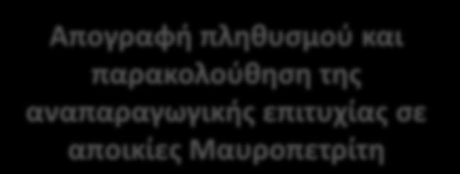 Απογραφή πληθυσμού και παρακολούθηση της