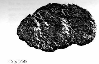 151, pl. ΧΙV / CMS II.6, Nr. 9 / MINOAN ROUNDEL ΙΙ, 219, 324. 37) ΑΡΙΘΜ. ΕΥΡΕΤ. ΜΟΥΣΕΙΟΥ ΣΦΡΑΓΙΣΜΑΤΟΣ /ΩΝ : Μ.Η. 1685 ΤΥΠΟΣ ΣΦΡΑΓΙ ΑΣ: αχτυλίδι(;) µε oβάλ µεταλλική(;) σφενδόνη.