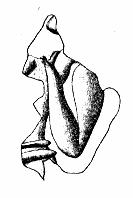 1157 ΤΥΠΟΣ ΣΦΡΑΓΙ ΑΣ: Σφραγιδόλιθος αγνώστου σχήµατος, από σκληρό(;) λίθο.