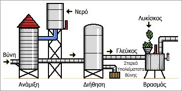 λειτουργούν ως στιβάδα διαύγασης και το βυνογλεύκος ρέει διαυγές.