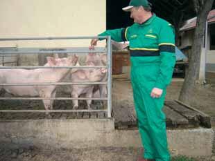 42 Matija Galunder, svinjogojac iz Veræeja kod Murske Sobote (Slovenija) Dvije godine nakon ulaska Slovenije u EU, kakva su Vaπa iskustva u bavljenju poljoprivredom u Uniji i kako ste iskoristili