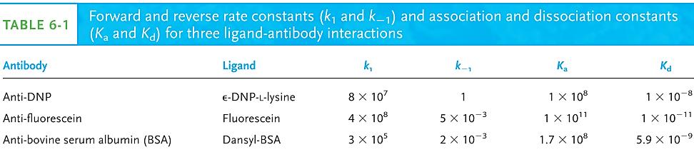 Антигени-антитела K d =1/K a (висок афинитет = 10-8 -10-10 М) K d =10-9 nm поврзувачи, K d =10-6 μм поврзувачи
