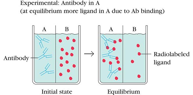 [Ab t ] - познатa [Ab] = [Ab t ] [Ab-Ag complex]