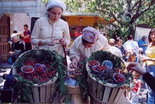 ΗΓΙΟΡΤΗΤΟΥΚΕΡΑΣΙΟΥ ΣΤΗΝΑΓΙΑΣΟ Απότο 2007 καθιερώθηκε και η ανοιξιάτικη Γιορτή Κερασιού.