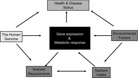 ΚΕΦΑΛΑΙΟ 4: Nutrigenomics/ Nutrigenetics Αλληλεπιδράσεις γονιδίων & διατροφής Α.