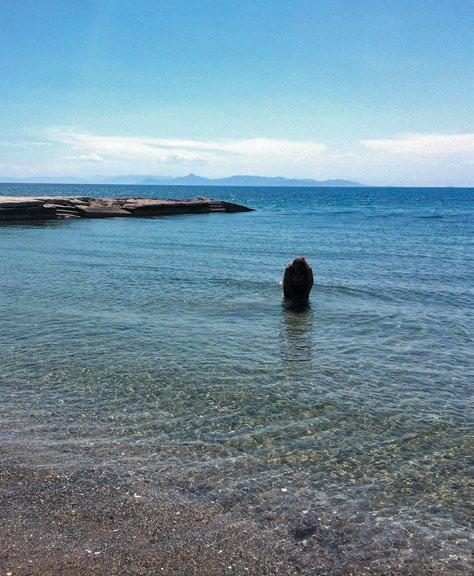 E - COLI ΚΑΤΑΛΛΗΛΑ (Κ) ΔΕΙΓΜΑΤΟ- Ε Ν ΟΡΙΟ 250/100 ml νερού ΟΡΙΟ 100/100 ΟΡΙΟ 50/100 ΑΚΑΤΑΛΛΗΛΑ ΛΗΨΙΑΣ (οδηγία 2006/7/ΕΚ) ml νερού ml νερού (Α) 1 ΦΡΕΑΤΤΥΔΑ (ΣΥΛΛΟΓΟΣ ΕΛΛΗΝΩΝ ΒΑΤΡΑΧΑΝΘΡΩΠΩΝ) 23,3843.