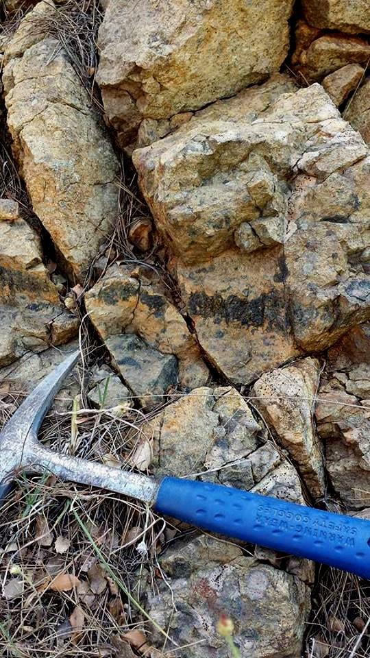 ΟΦΙΟΛΙΘΙΚΩΝ ΠΕΤΡΩΜΑΤΩΝ ΤΗΣ ΠΕΡΙΟΧΗΣ ΤΡΑΓΑΝΑ ΦΘΙΩΤΙΔΑΣ ΤΣΙΡΙΚΟΥ- ΚΑΣΙΜΑΤΗ Ι.