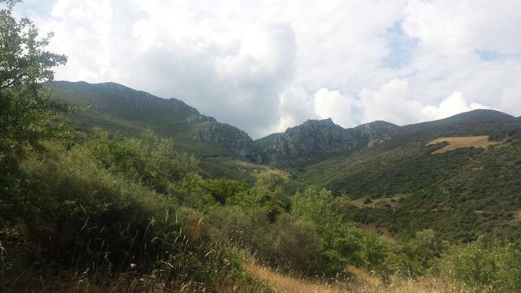 Εικόνα 2.3.4: Ιουρασικοί ασβεστόλιθοι στην κορυφή του λόφου,στους οποίους είναι επωθημένα τα οφιολιθικά πετρώματα.
