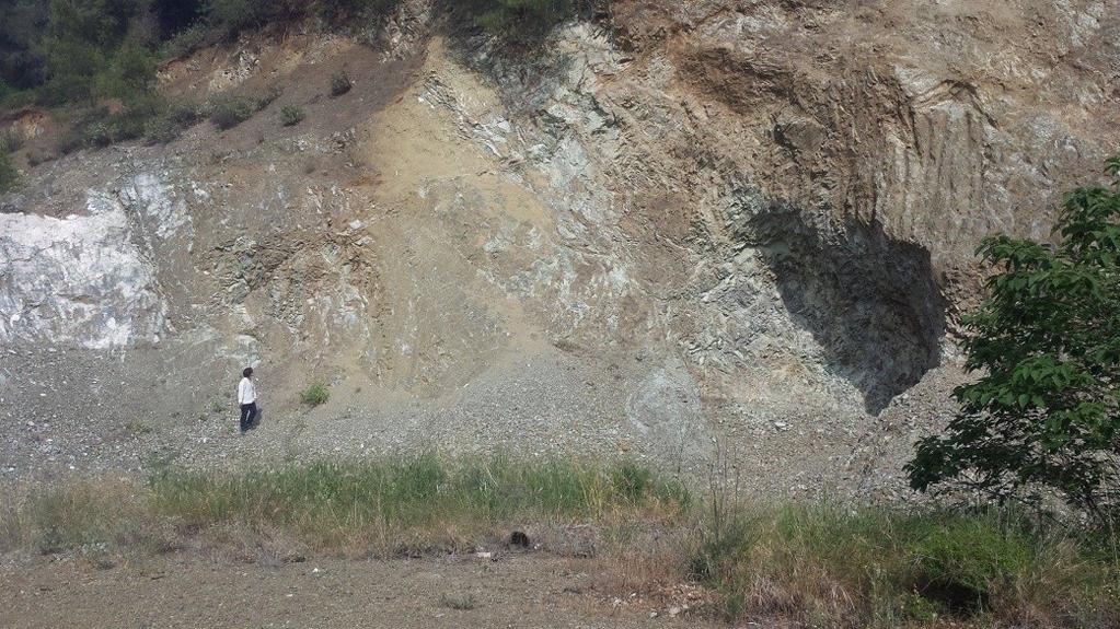 Τέλος στην θέση NΤR32 εμφανίζονται εξαλλοιωμένοι δουνίτες (Εικ. 2.3.0:Χάρτης) και η εμφάνιση είναι πολύ πλούσια σε τάλκη ώστε η συγκεκριμένη θέση είχε επιχειρηθεί να αξιοποιηθεί για μικρής κλίμακας εξόρυξης του ορυκτού παλαιότερα.
