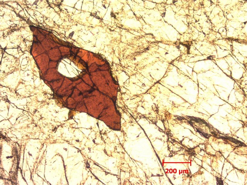 απόμειξης Cpx σε Opx, sub-grains σε Ol TR14 Πορφυροκλαστικός, 65 35 <5 λοβοειδή
