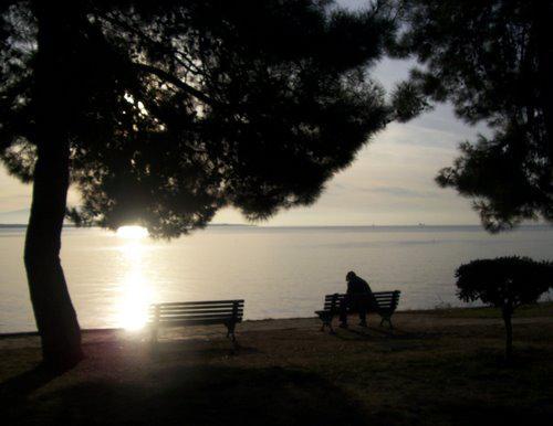 δθμιουργίασ ιδιαίτερων (ευνοϊκϊν) ςυνκθκϊν. Θ δενδρϊδθσ βλάςτθςθ, θ οποία ςυνίςταται κυρίωσ από δαςοπονικά είδθ, είναι παροφςα ςχεδόν ςε όλουσ τουσ χϊρουσ πραςίνου (Γκανάτςασ Ρ., 2002).