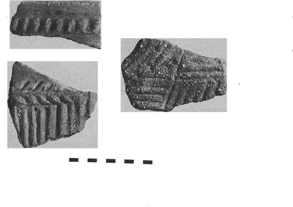 Dans la coupe naturelle de la Zone B on recueille des fragments de gros vases à décor de cordons impressionnés et de