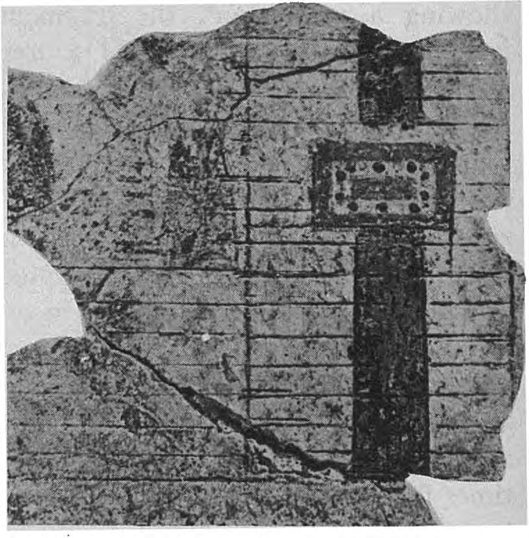 This resemblance is enhanced by the com parison to a fresco fragm ent from Knossos, belonging to the so-called Fresco of the central pillar shrine with grand stands on either side 14, which