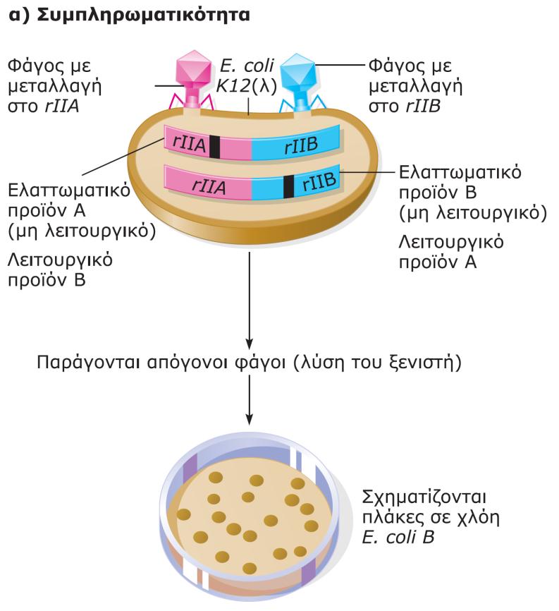 Δξκιμαρίεπ ρσμπληοχμαςικόςηςαπ για ςξμ