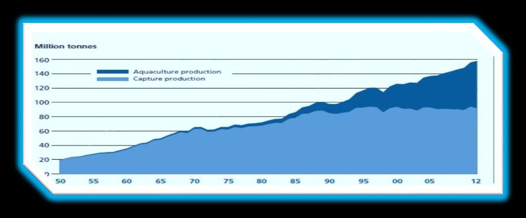 Η παγκόσμια παραγωγή εκτρεφόμενων ιχθύων εμφανίζει μία σταθερά ανοδική αύξηση από το 1950 (Εικόνα 1).