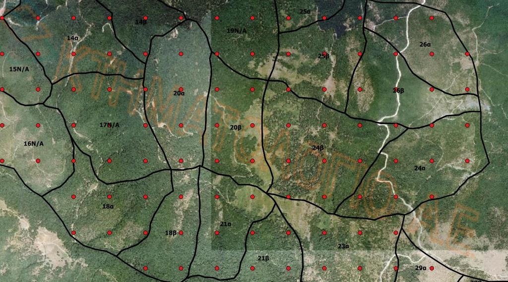 Απογραφή δάσους λήψη ΔΕ (5) Παράδειγμα τοποθέτησης συστηματικού