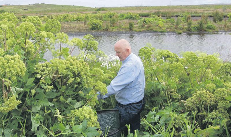 stofnað fyrir tíu árum og felst starfsemi þess í úrvinnslu á hráefni í boði hinnar villtu náttúru.