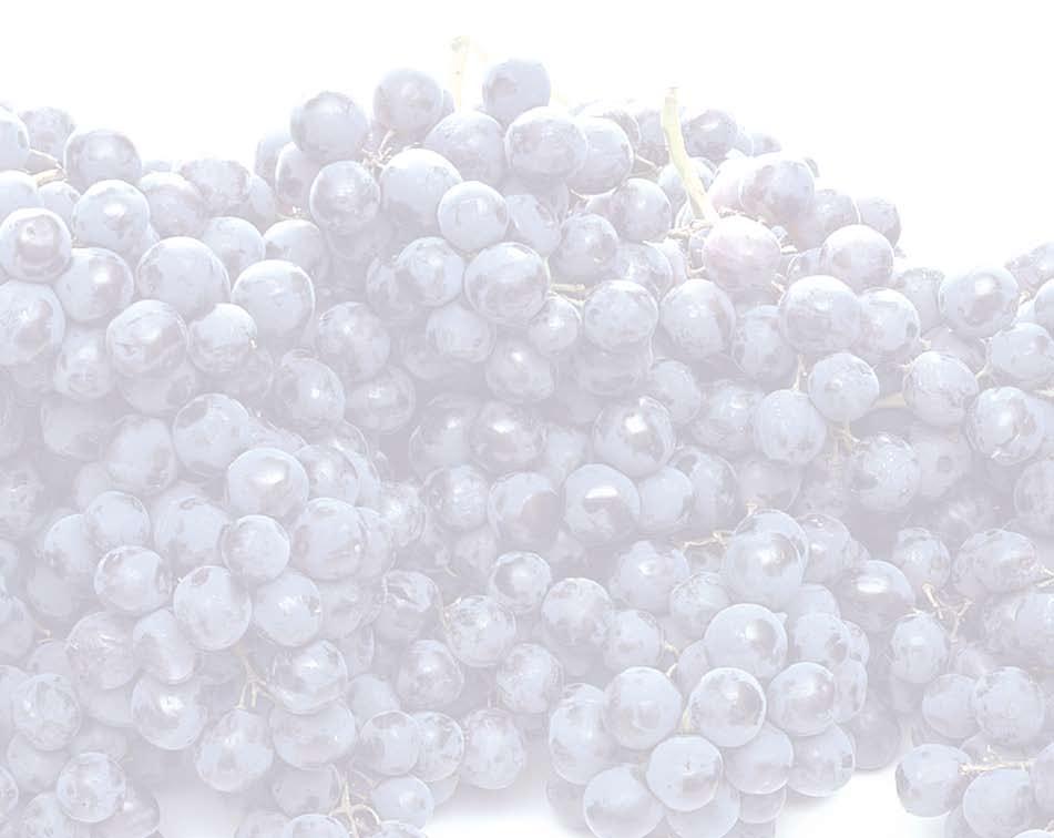 Ridomil Gold Combi 45 WG sodræi metalaksil -M 5%, i Folpet 40% zaπtita od plamenica vo faza pred cvetawe: 2 kg/ha Ridomil Gold MZ 68 WG sodræi metalaksil-m - 40g/kg i mankozeb - 640 g/kg zaπtita od