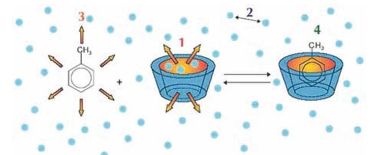Εικόνα 25: Σχηματισμός συμπλόκου εγκλεισμού μεταξύ ξενιζόμενου μορίου και κυκλοδεξτρίνης. 1. Η μετατόπιση των πολικών μορίων νερού από τη μη-πολική κοιλότητα της κυκλοδεξτρίνης 2.