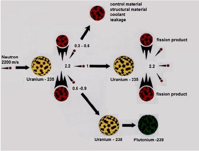 59 Εικόνα 17: Απορρόφηση νετρονίου από πυρήνα Ουρανίου-235 Στον παρακάτω πίνακα (Πίνακας 7) φαίνονται οι ενεργές διατοµές αυθόρµητης σχάσης σ ασ και οι ενεργές διατοµές αυθόρµητης σχάσης νετρονίων σ